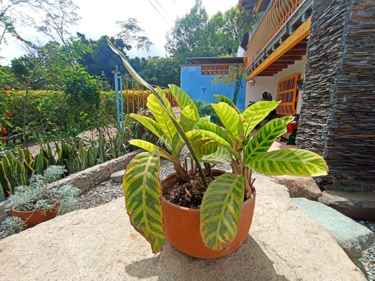 Casa De Las Rocas Hostel Jardín Exterior foto